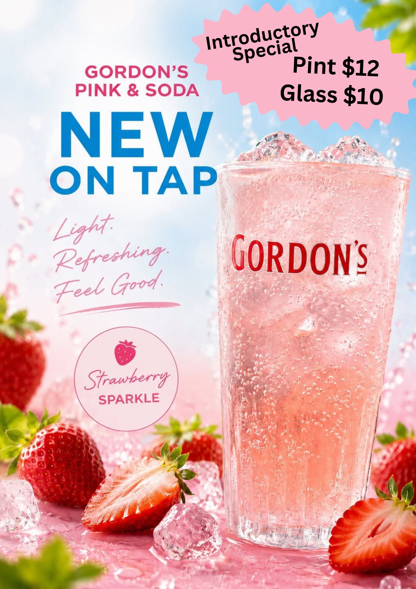 Pink Gin Pint 12 Glass 10